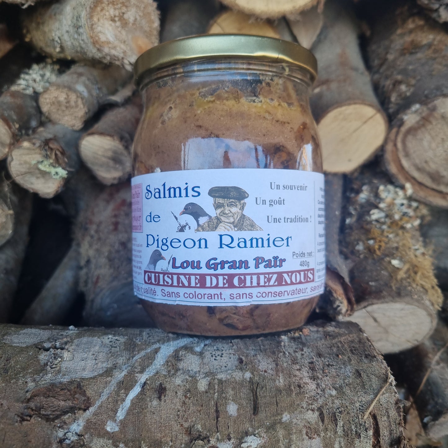 Salmis de pigeon ramier
