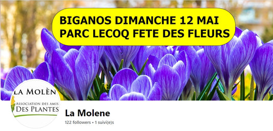 La Fête des fleurs à Biganos au parc Lecoq le Dimanche 12 Mai