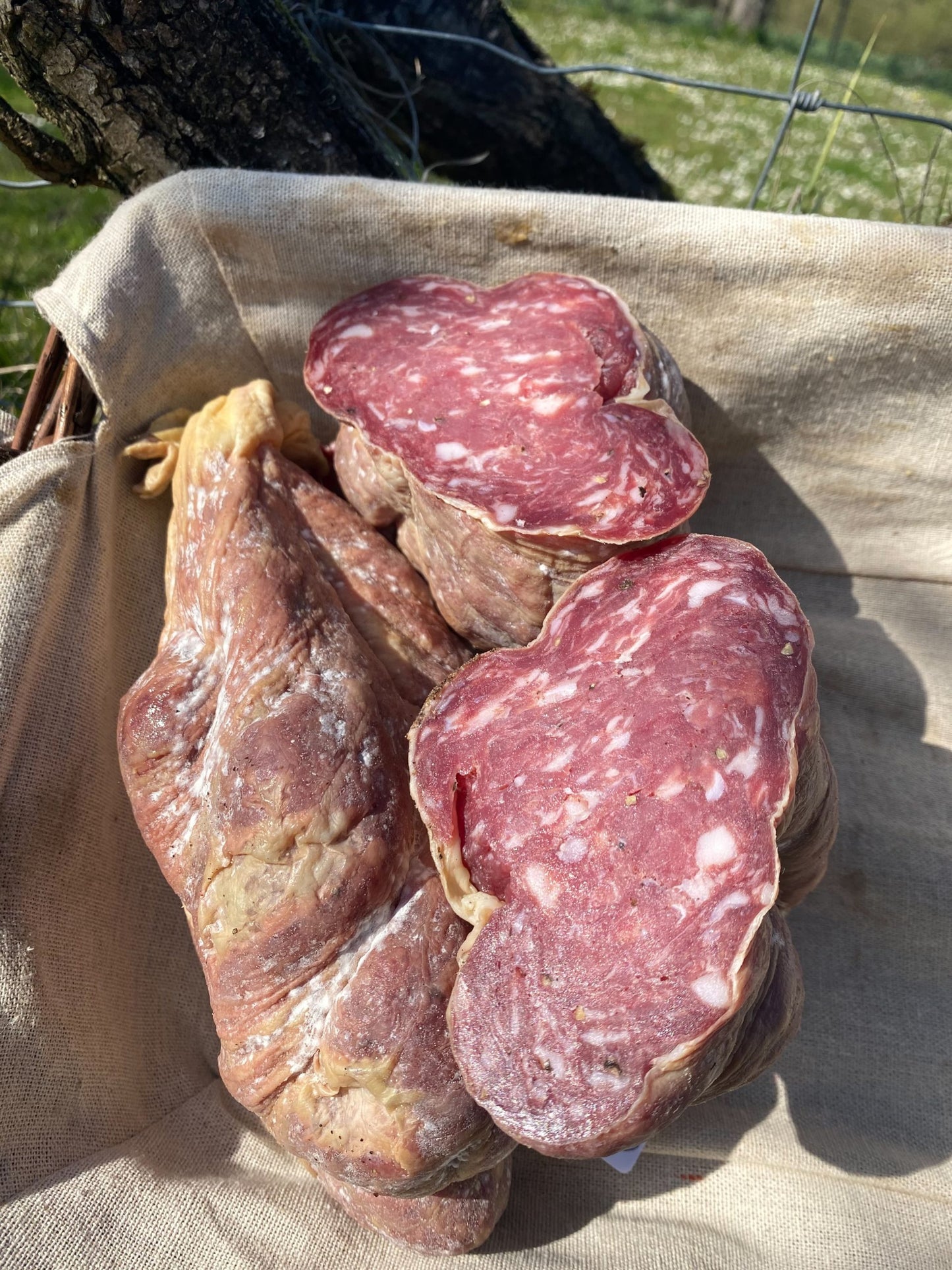 Jésus IGP Sud-Ouest en ligne