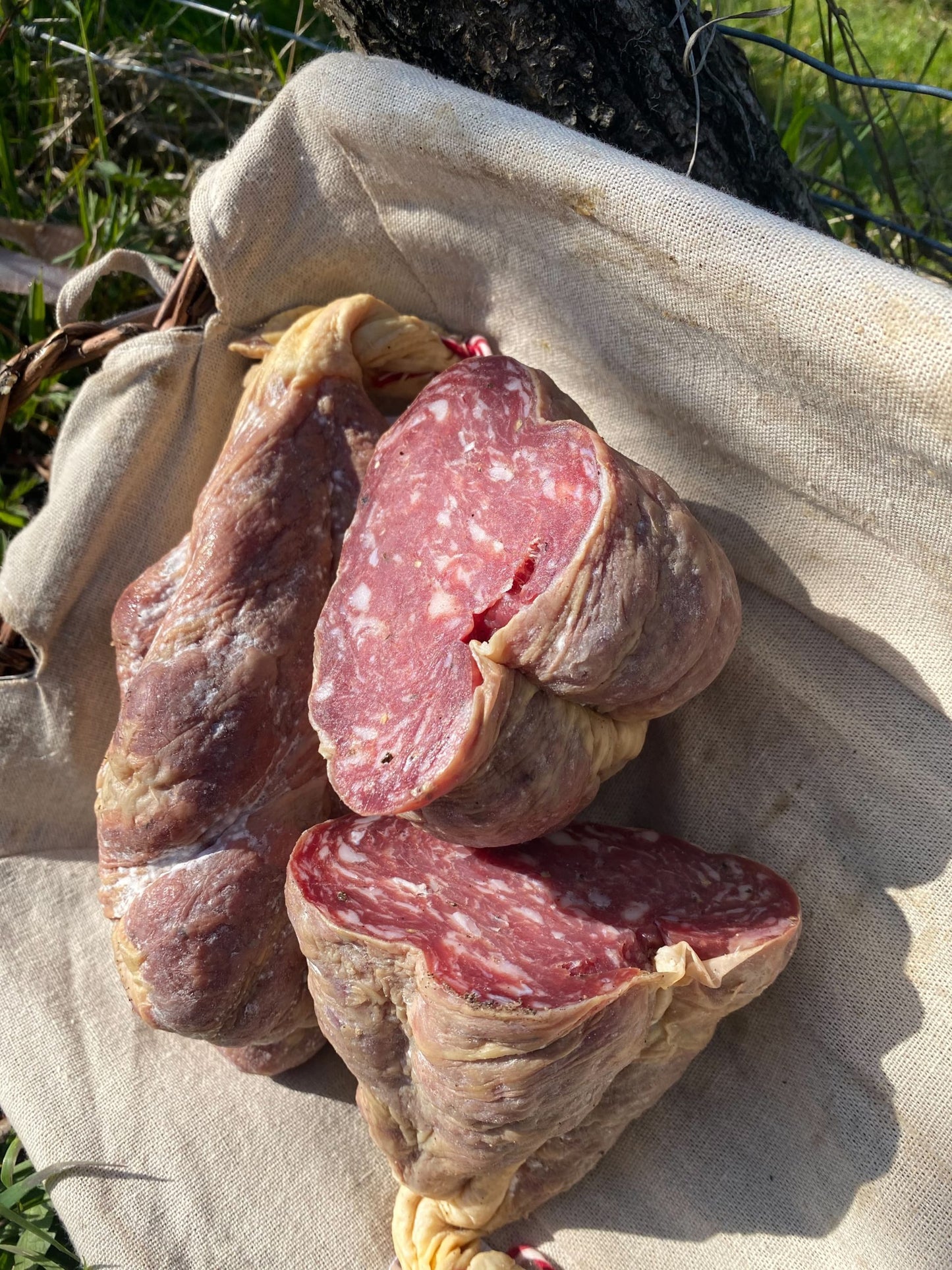 Jésus IGP Sud-Ouest en ligne