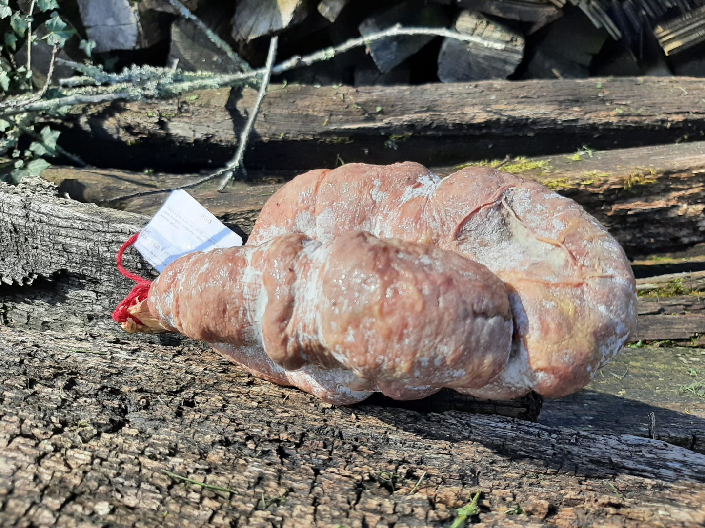 Jésus IGP Sud-Ouest en ligne